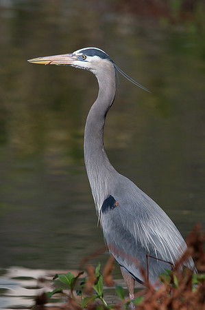 20100114-305