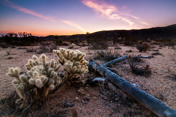 Desert Sunrise