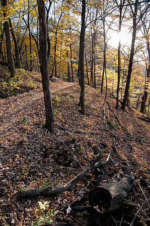 Walking in Autumn
