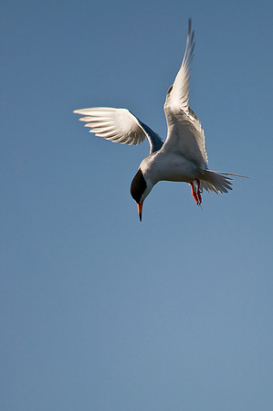 20090524-214