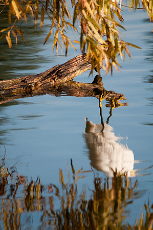 Who's There?