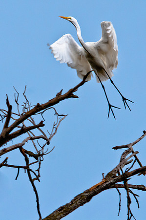 On Angel's Wings