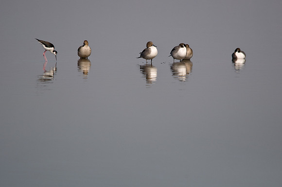 20091210-142