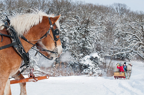 Iowa Sleigh Ride