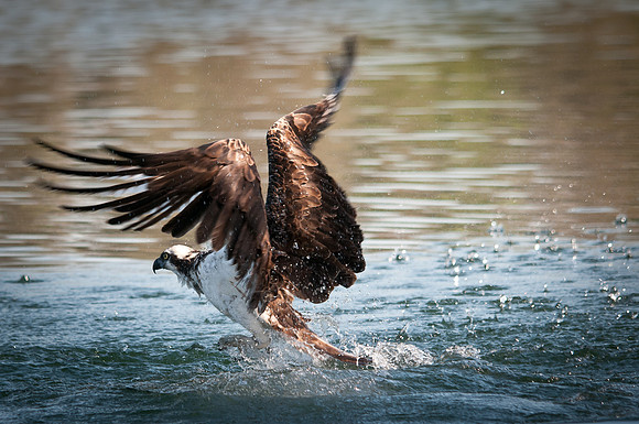 Soggy Lift-Off