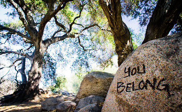 You Belong