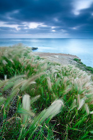 Ocean Breeze