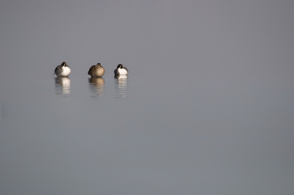 20091210-114