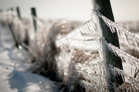 Ice Storm