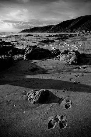 Traces in Monochrome