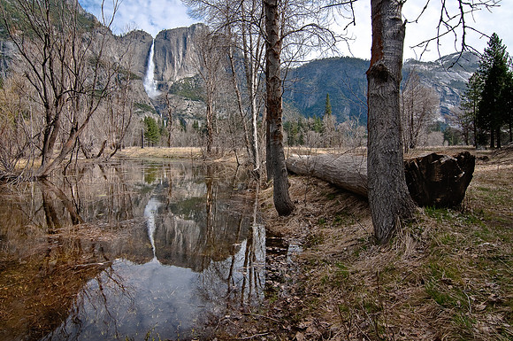Flooded Meadow