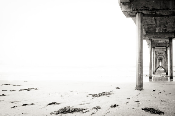 Through the Fog