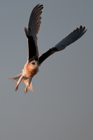 Kite Take-off