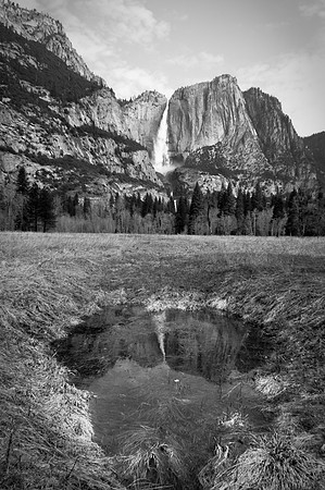 Reflecting Pool