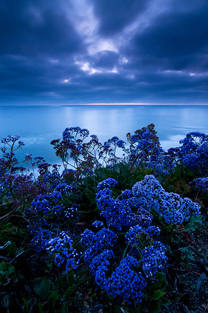 Evening Blues