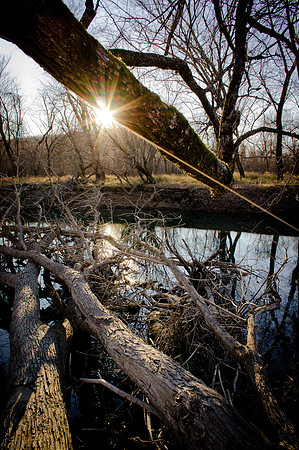 River Rays