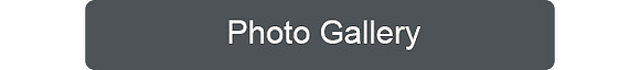 Gallery Button