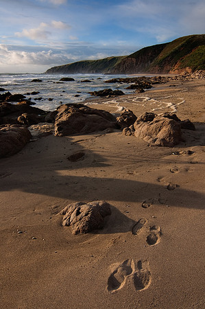 Traces
